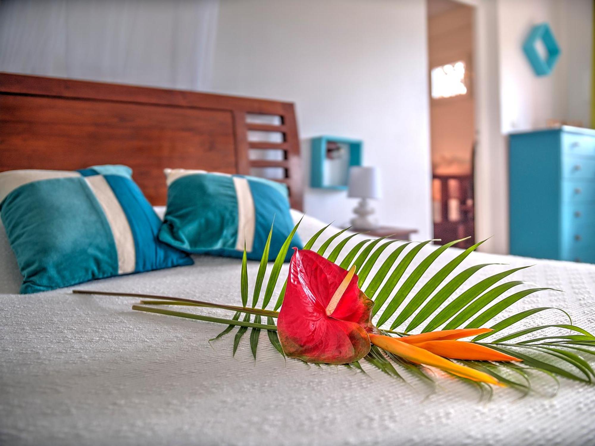 Habitation Bellevue Apartment Сент-Ан Стая снимка